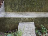 image of grave number 391488